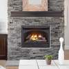 Procom 29In. Ventless Gas Dual Fuel Fireplace Insert - 26,000 Btu, T-Stat C FBNSD28T